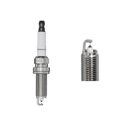 Iridium platinum bugi Dilkar7b 11 1406